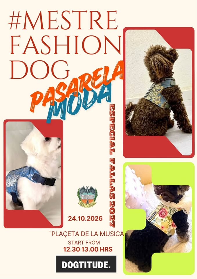 🐕‍🦺 Mestre Fashion Dog, Falla Avda. Regne de València - Maestro Serrano.