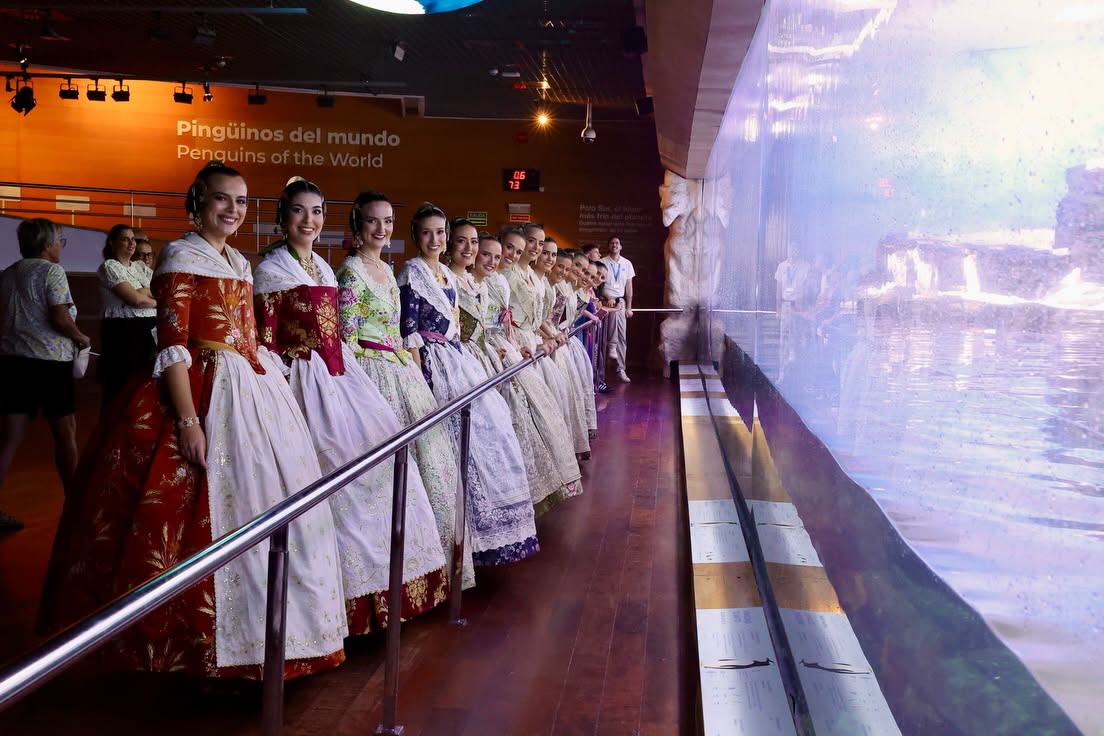 🌊💙Las candidatas visitan el Oceanogràfic València.